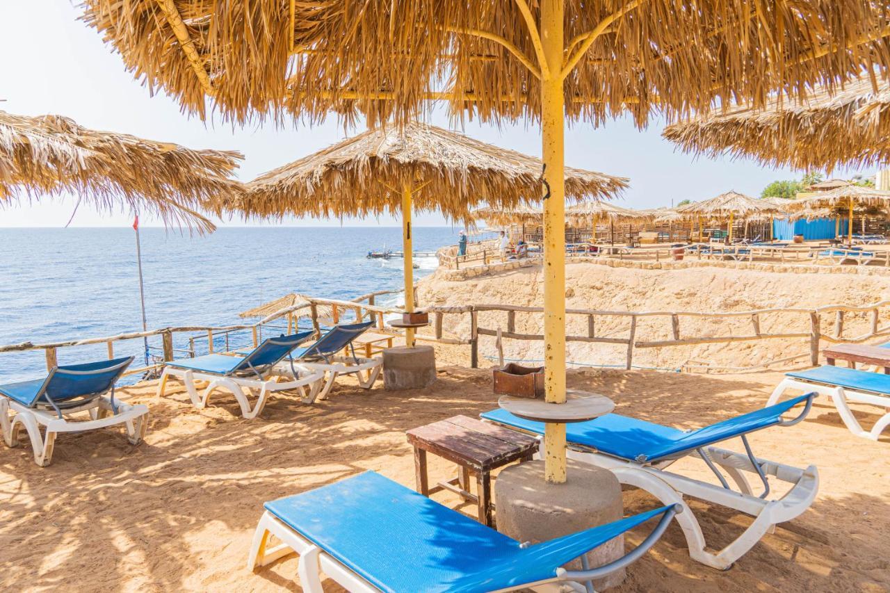 Sharm Reef Hotel Ngoại thất bức ảnh
