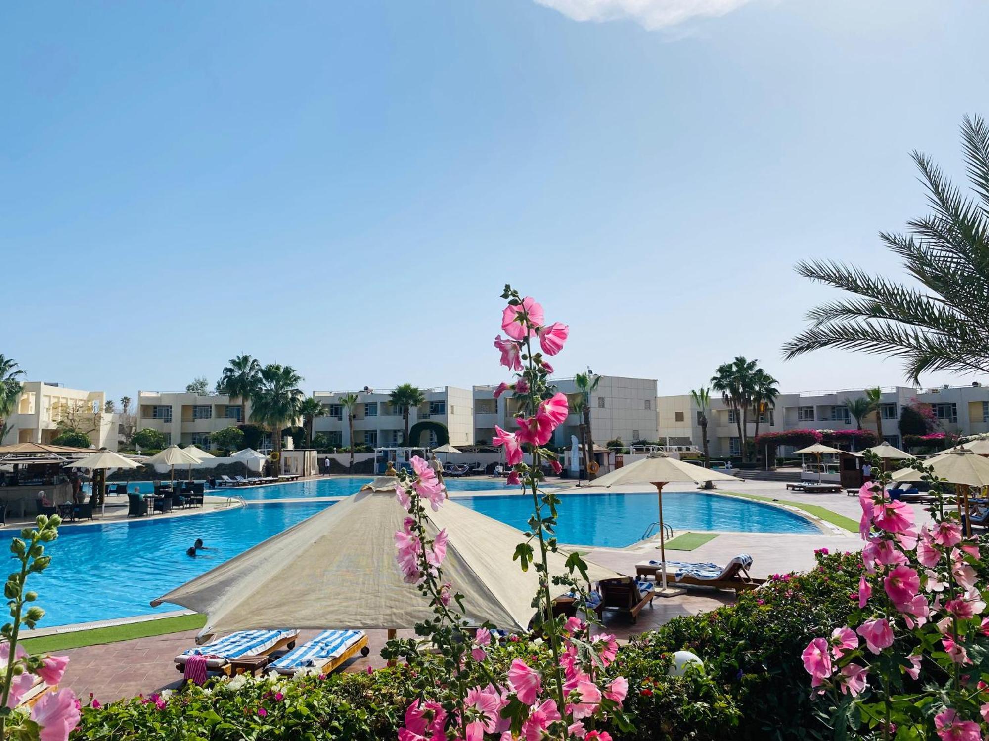 Sharm Reef Hotel Ngoại thất bức ảnh