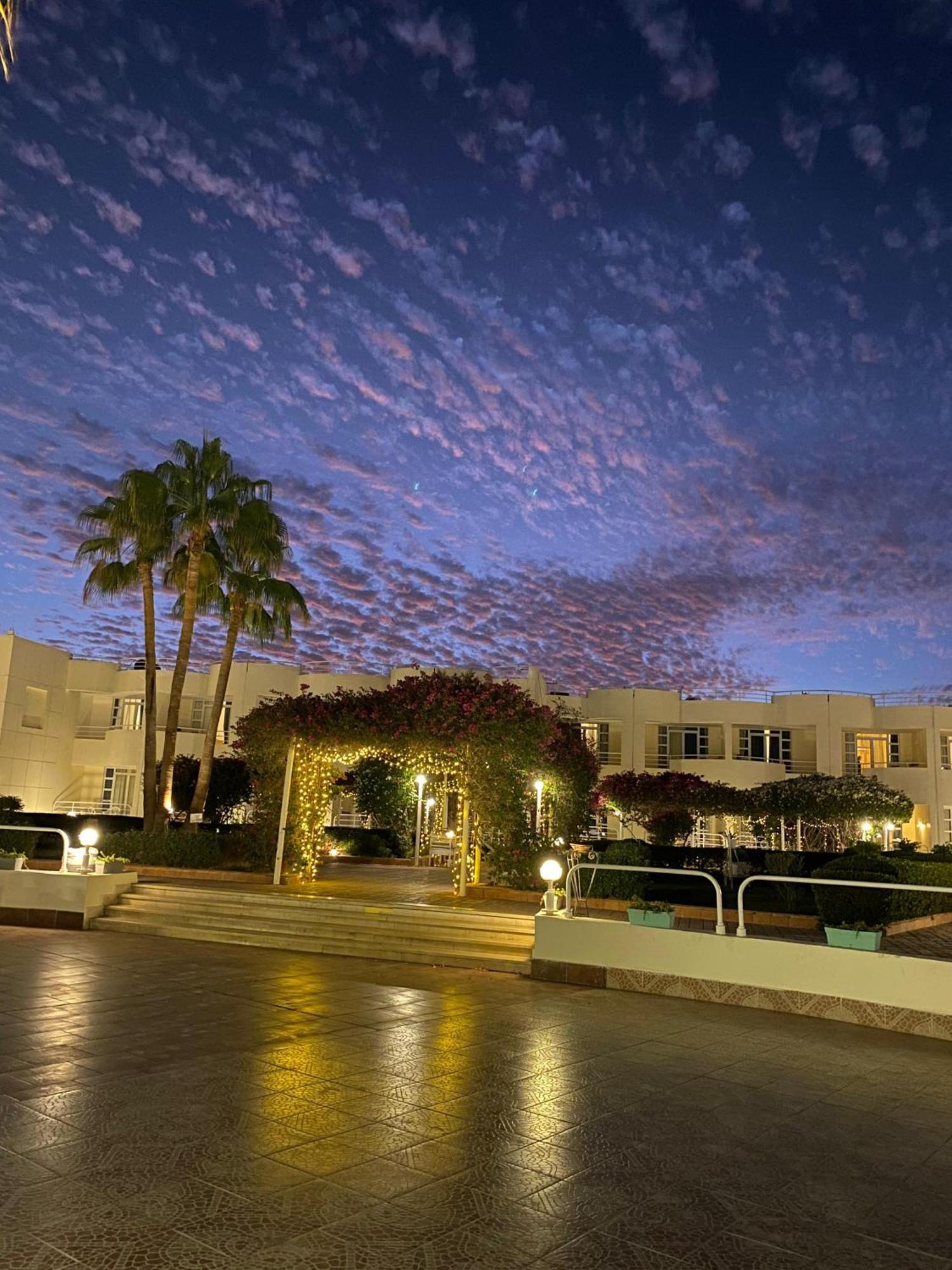 Sharm Reef Hotel Ngoại thất bức ảnh