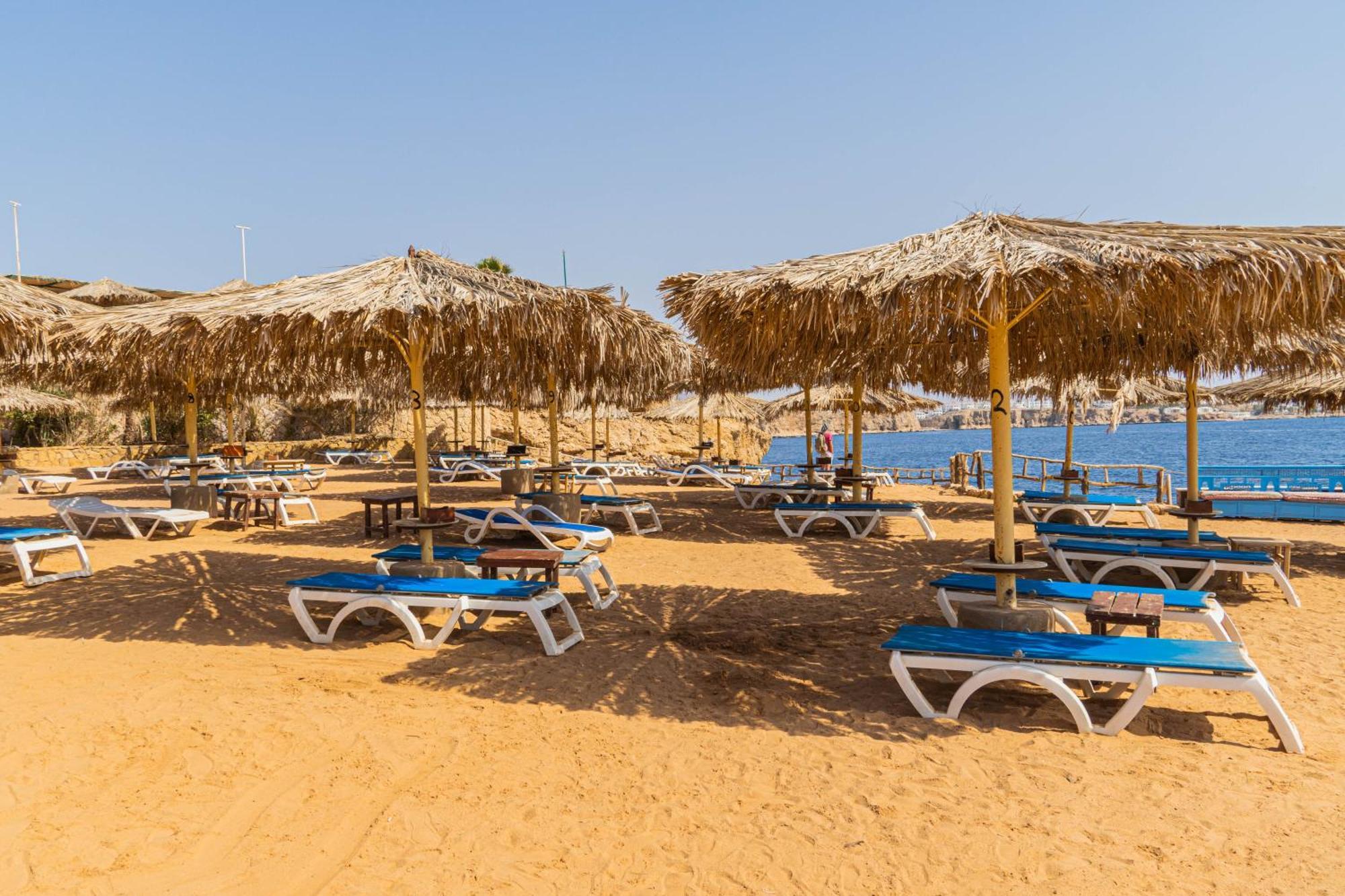 Sharm Reef Hotel Ngoại thất bức ảnh